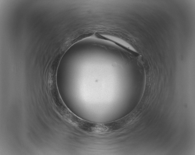 X0000080800215200701021258