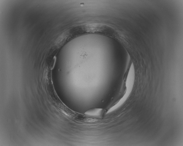 X0000080800219200701021258