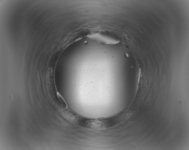 X0000080800229200701021258