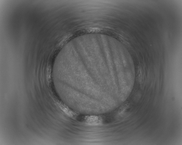 X0000080800230200701021258
