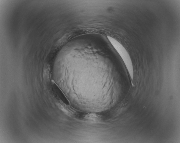 X0000080800231200701021258