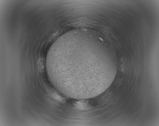 X0000080800232200701021258