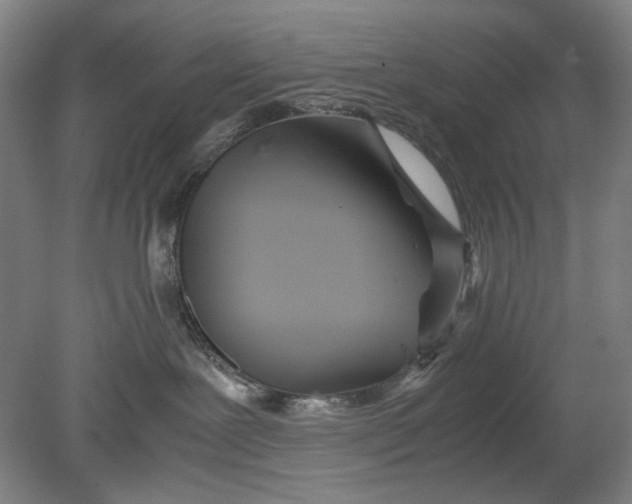X0000080800239200701021258