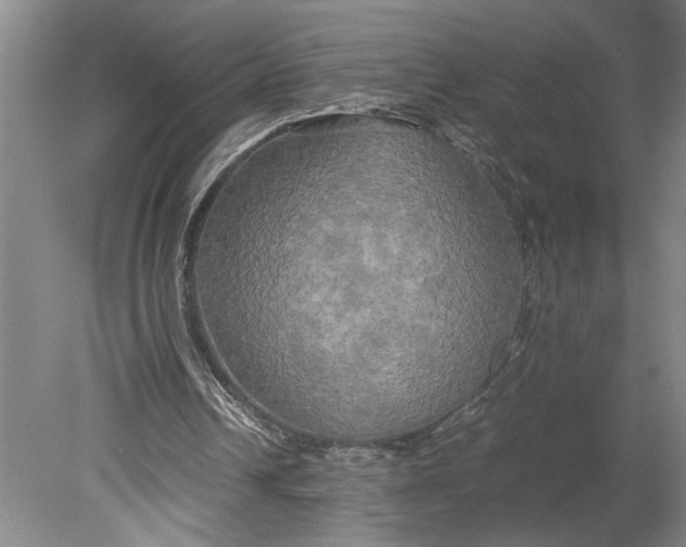X0000080800242200701021257