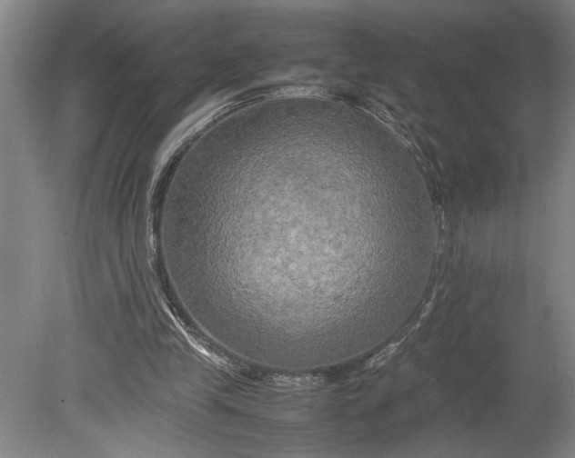 X0000080800245200701021257