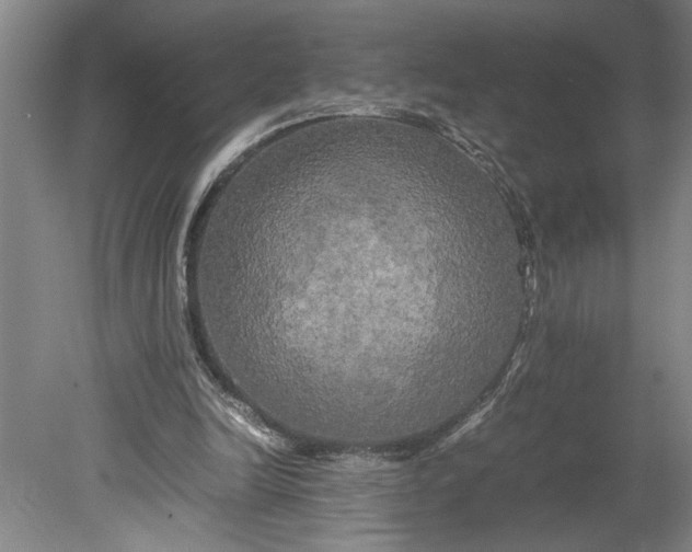 X0000080800246200701021257