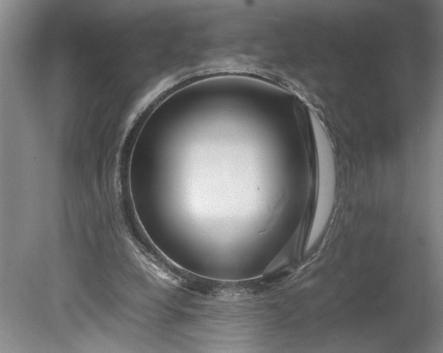 X0000080800248200701021257