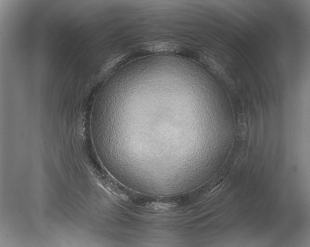 X0000080800255200701021257