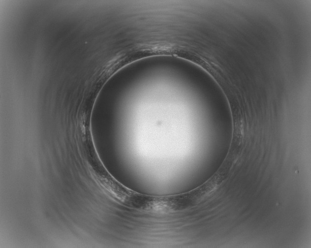 X0000080800264200701021257