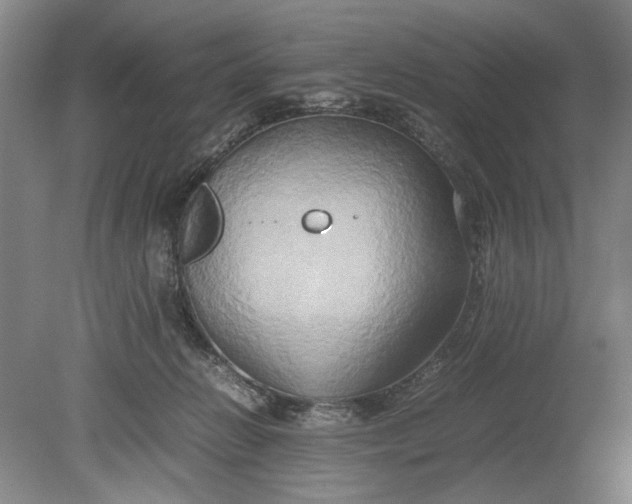 X0000080800270200701021257