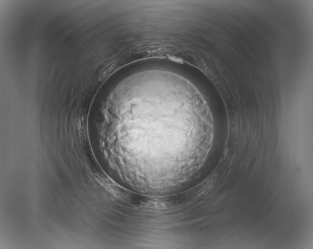 X0000080800276200701021258