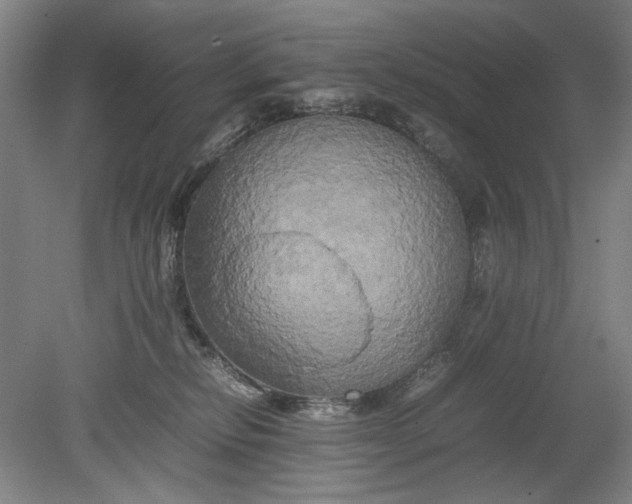 X0000080800278200701021258