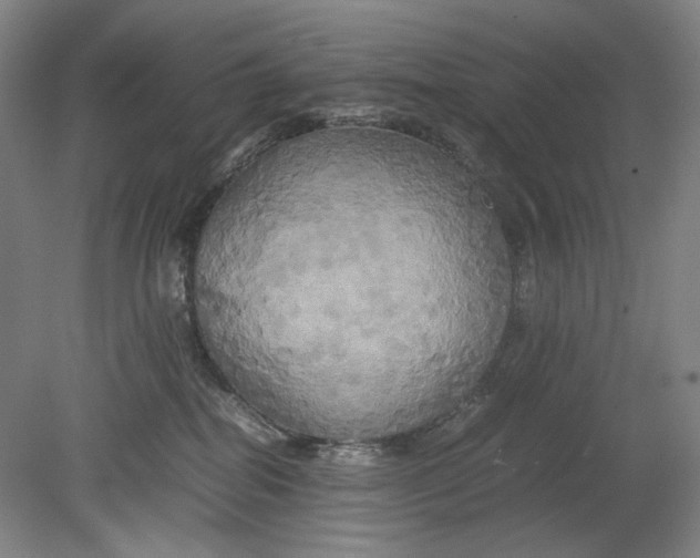 X0000080800282200701021258