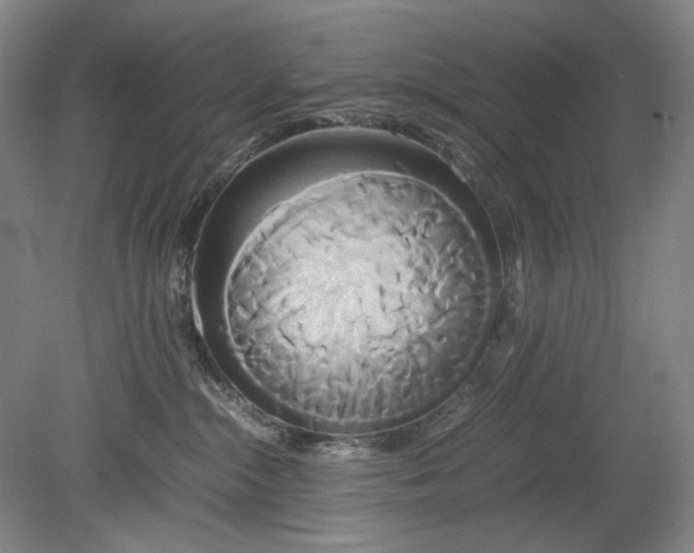 X0000080800284200701021258