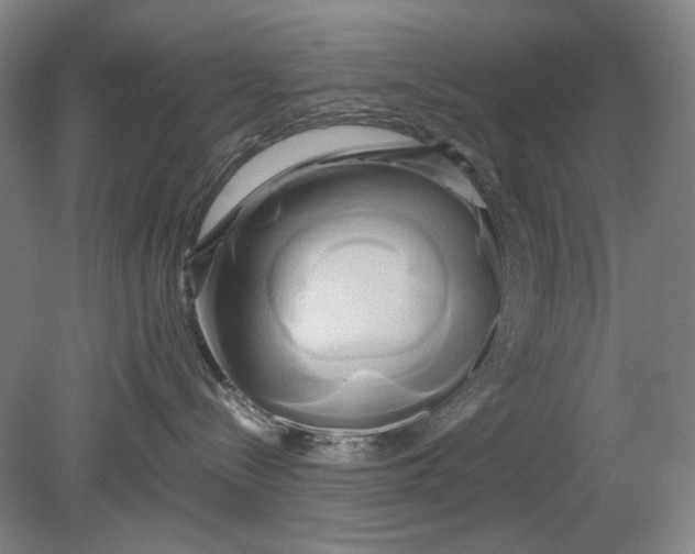 X0000080800288200701021258