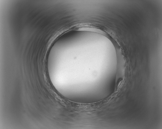 X0000080800289200701021257