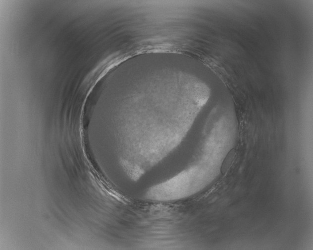 X0000080800290200701021257