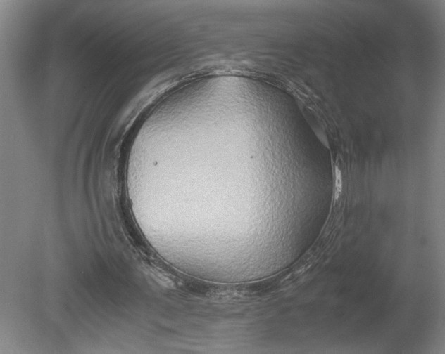 X0000080800291200701021257
