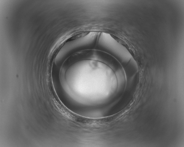 X0000080800293200701021257