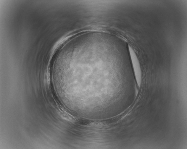 X0000080800294200701021257
