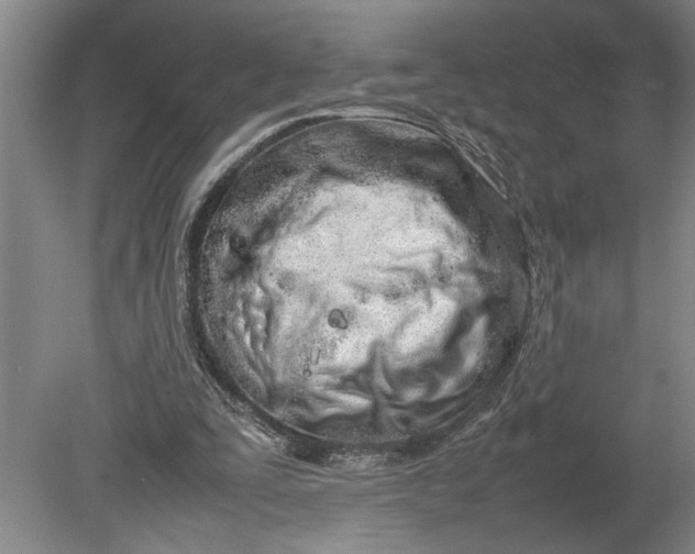 X0000080800295200701021257