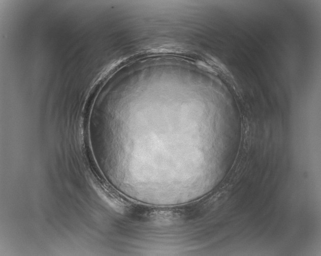 X0000080800298200701021257