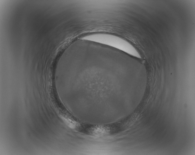 X0000080800303200701021257