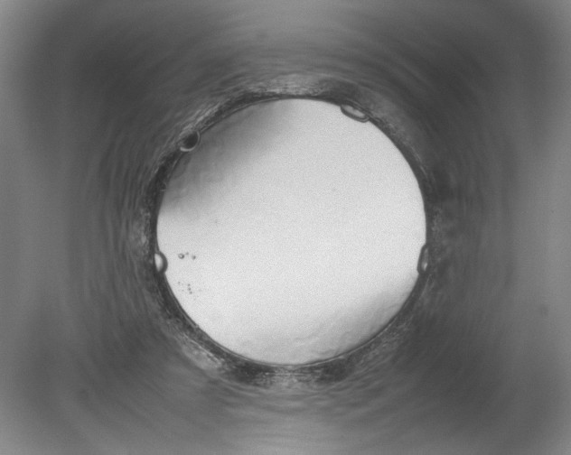 X0000080800305200701021257
