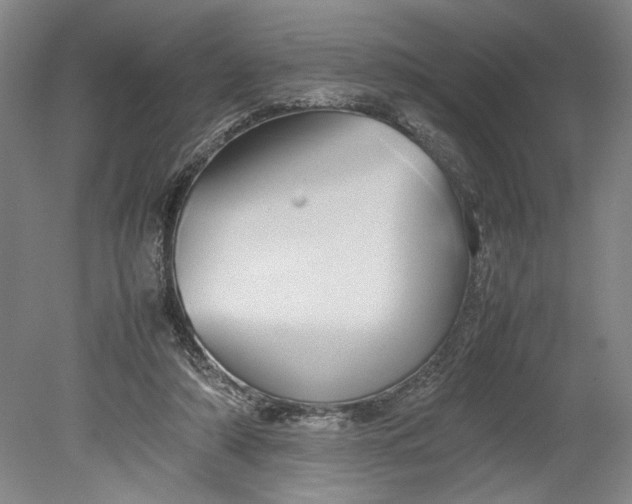 X0000080800306200701021257