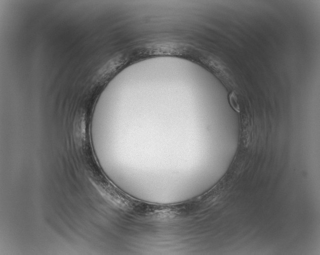 X0000080800310200701021257