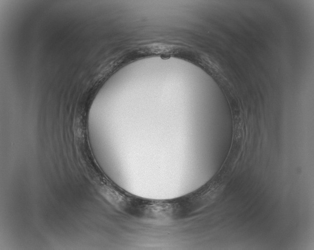 X0000080800317200701021256