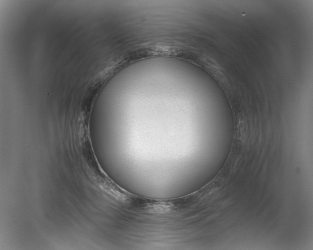 X0000080800318200701021256