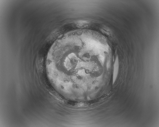 X0000080800319200701021256