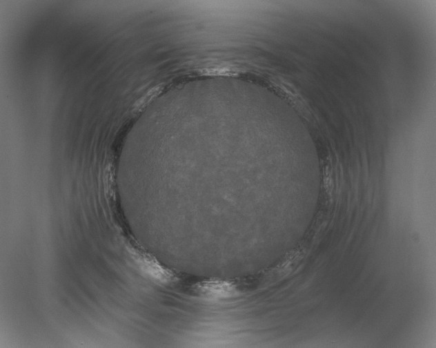 X0000080800322200701021256