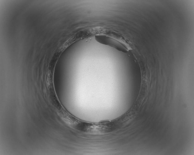 X0000080800323200701021256