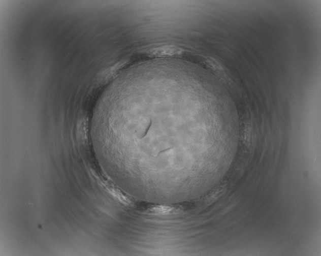 X0000080800326200701021256