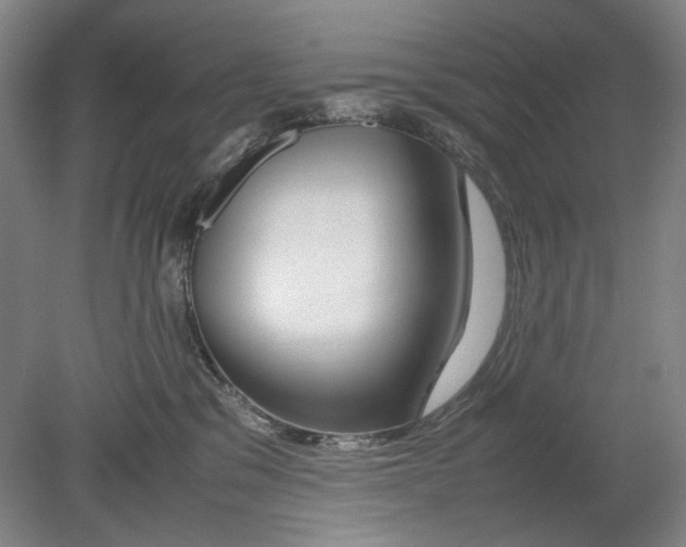 X0000080800329200701021256