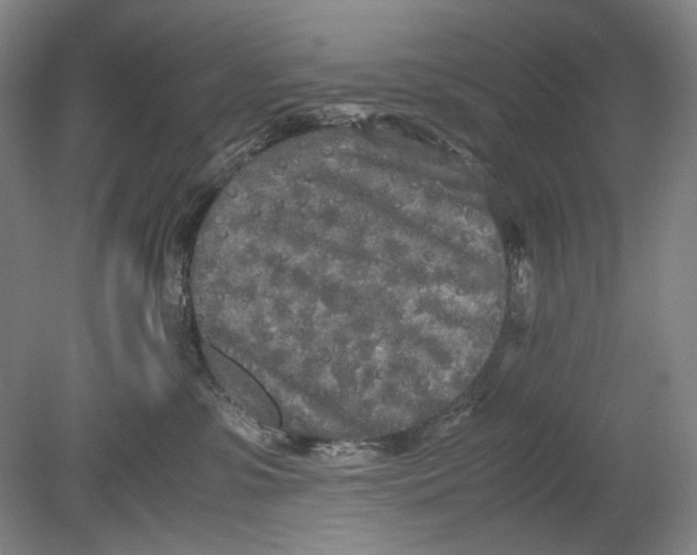 X0000080800331200701021256