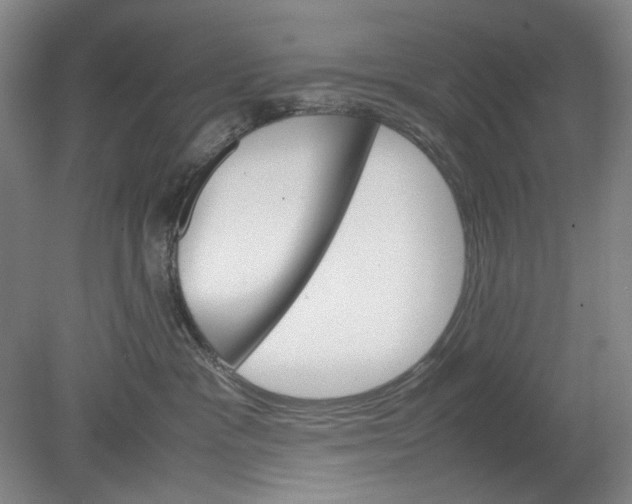 X0000080800333200701021256