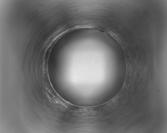 X0000080800338200701021255