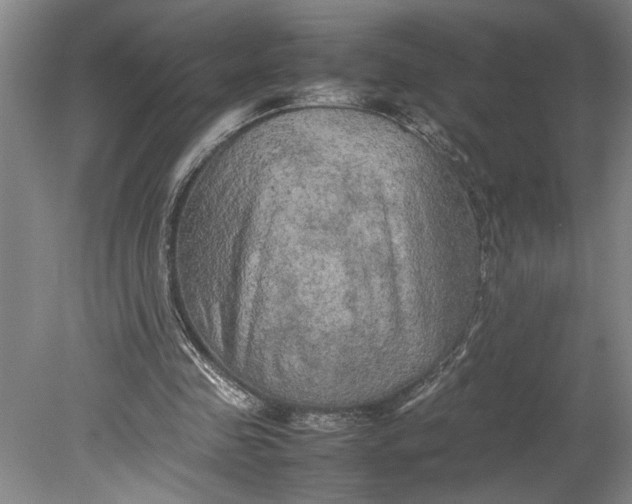 X0000080800341200701021255