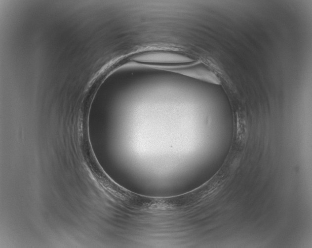 X0000080800348200701021256
