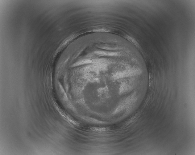 X0000080800349200701021256
