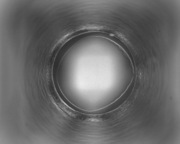 X0000080800352200701021256