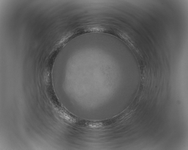 X0000080800355200701021256