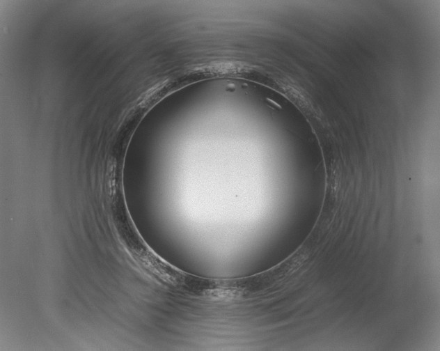 X0000080800356200701021256