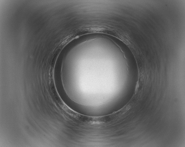 X0000080800360200701021256