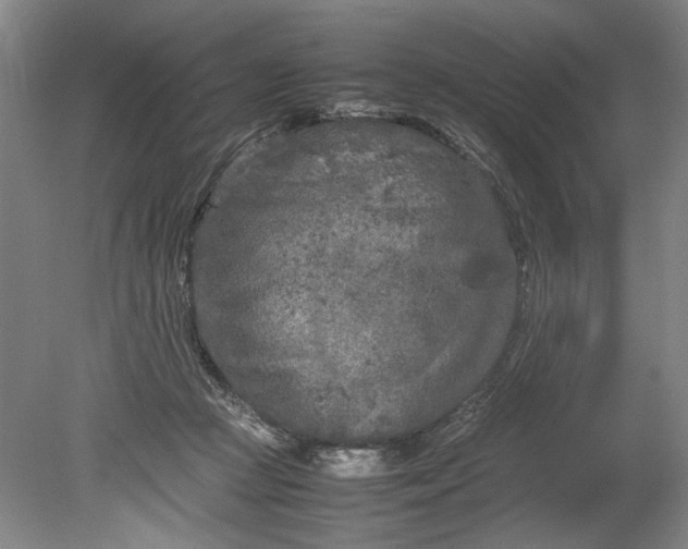 X0000080800361200701021256