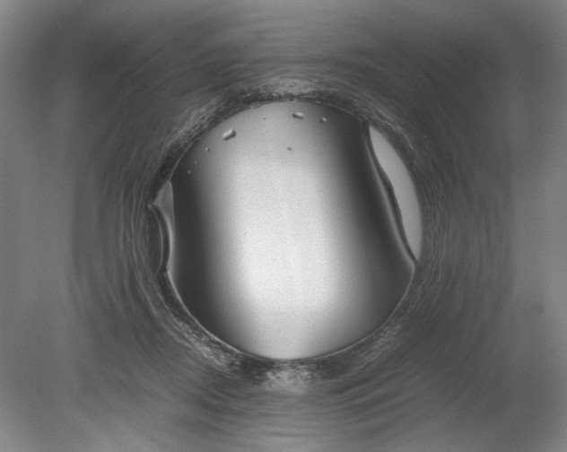 X0000080800362200701021256