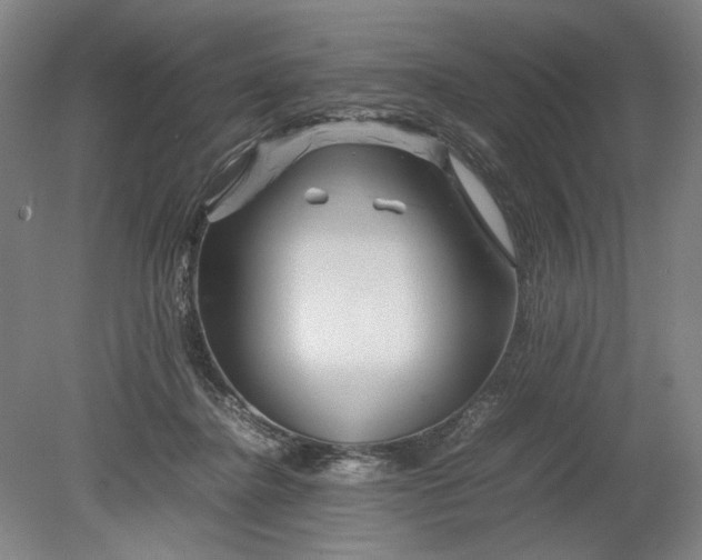 X0000080800364200701021256